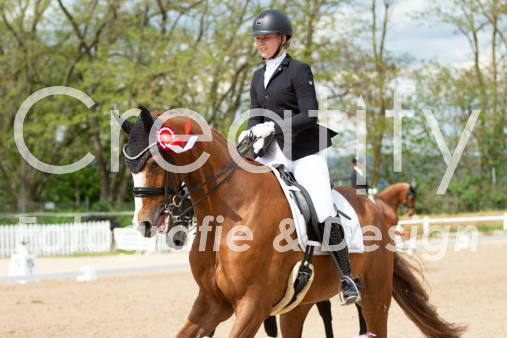 IMG_7041 | Creatify Fotografie