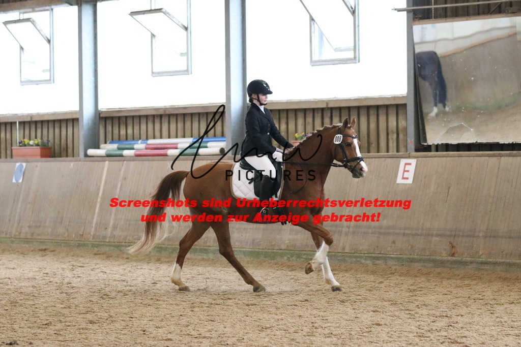 IMG_4633 | lmwpictures - Realisiert mit Pictrs.com