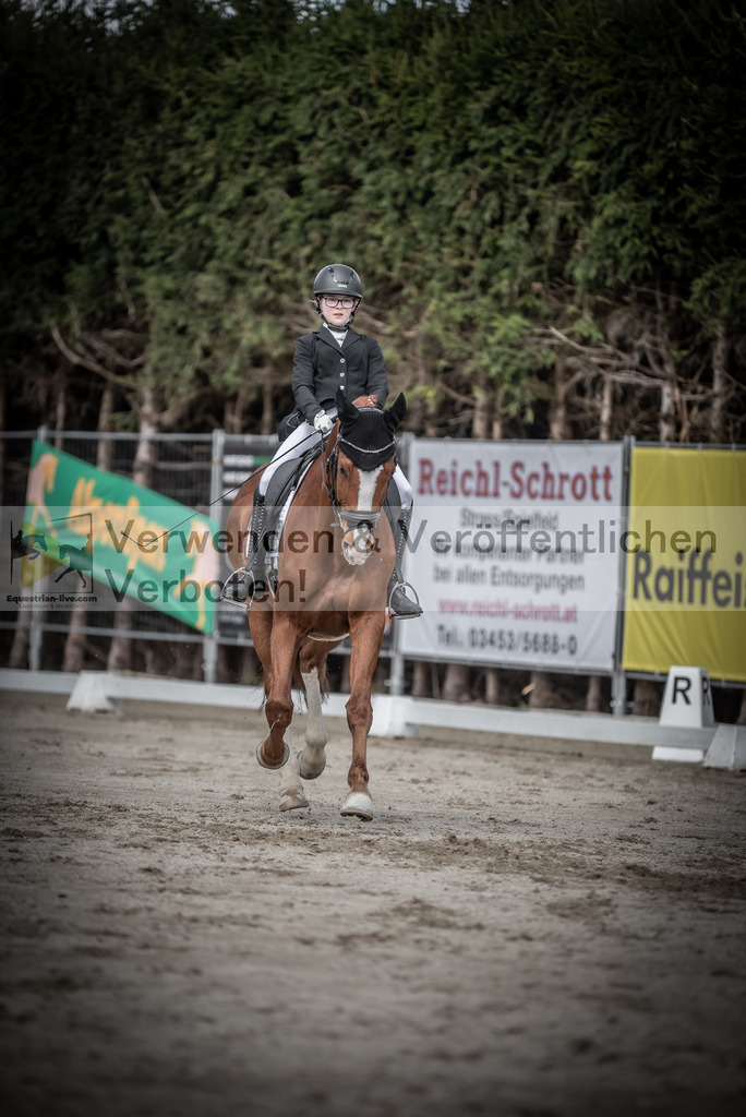 DSC_3266 | equestrian-live-com