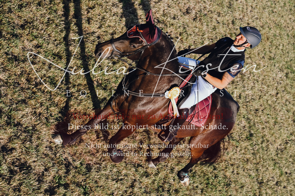 DSC_3309 | Pferde- und Turnierfotografie in Westsachsen. Pferdeportraits, Auftragszeichnungen und intuitive Kunst.