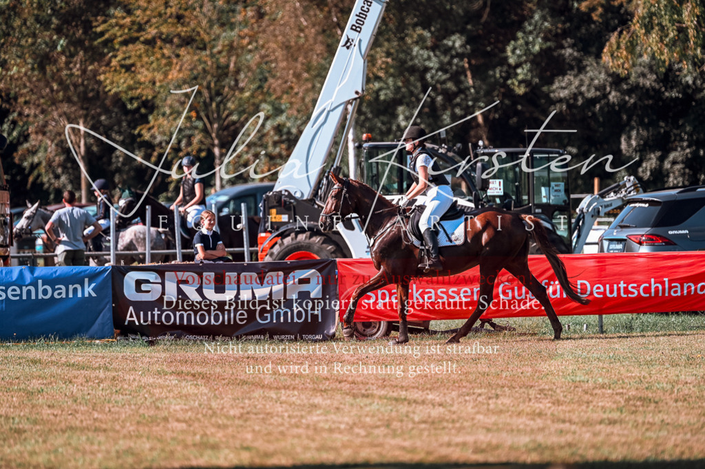 DSC_0748 | Pferde- und Turnierfotografie in Westsachsen. Pferdeportraits, Auftragszeichnungen und intuitive Kunst.