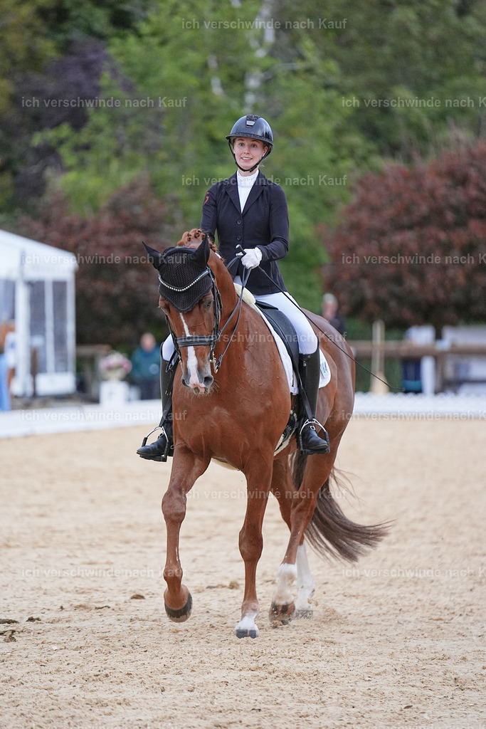 04_2-064-Dressur M__ -Marixx-3085 | working equitationturnier fotograf videograf stoibphotography marixx film working equitation deutschland reitsport turnierfotografie eventfotografie equestrian events
