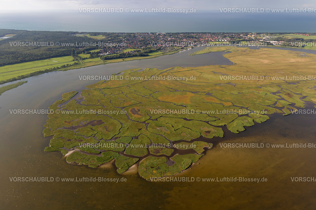 Zingst12082591 | Insel Großer Kirr, Barther Bodden,  Pruchten, Ostsee, Mecklenburg-Vorpommern, Deutschland, Europa