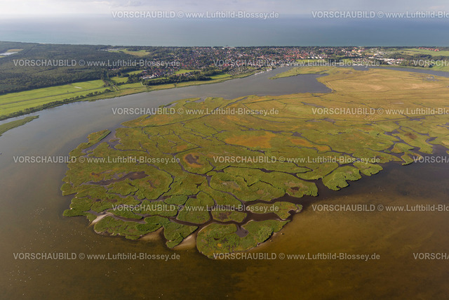 Zingst12082591 | Insel Großer Kirr, Barther Bodden,  Pruchten, Ostsee, Mecklenburg-Vorpommern, Deutschland, Europa