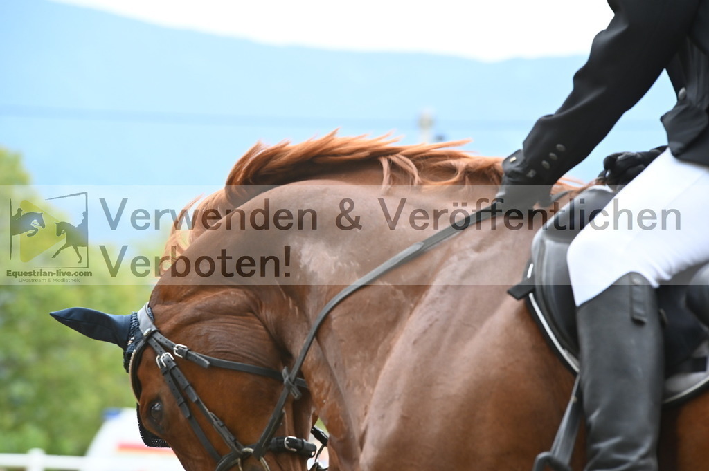 DSC_8136 | equestrian-live-com