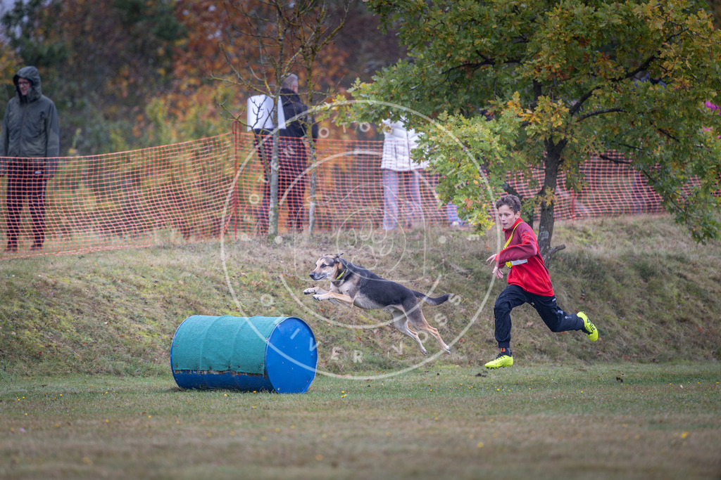 Pfotenfotografie_DV3A0573 | Hundefotografie, Tierfotograf, Pfotenfotografie, Fotoshooting Hund, Hunde Portrait, Hundesport, Hundeportraits, Heideshooting, Hunde, Sportfotograf, Hundefotograf, Turnierhundsport, THS,  - Realisiert mit Pictrs.com