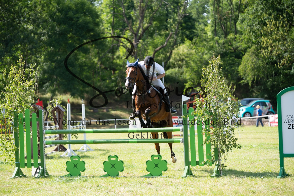 A7V06610 | Pferdefotograf