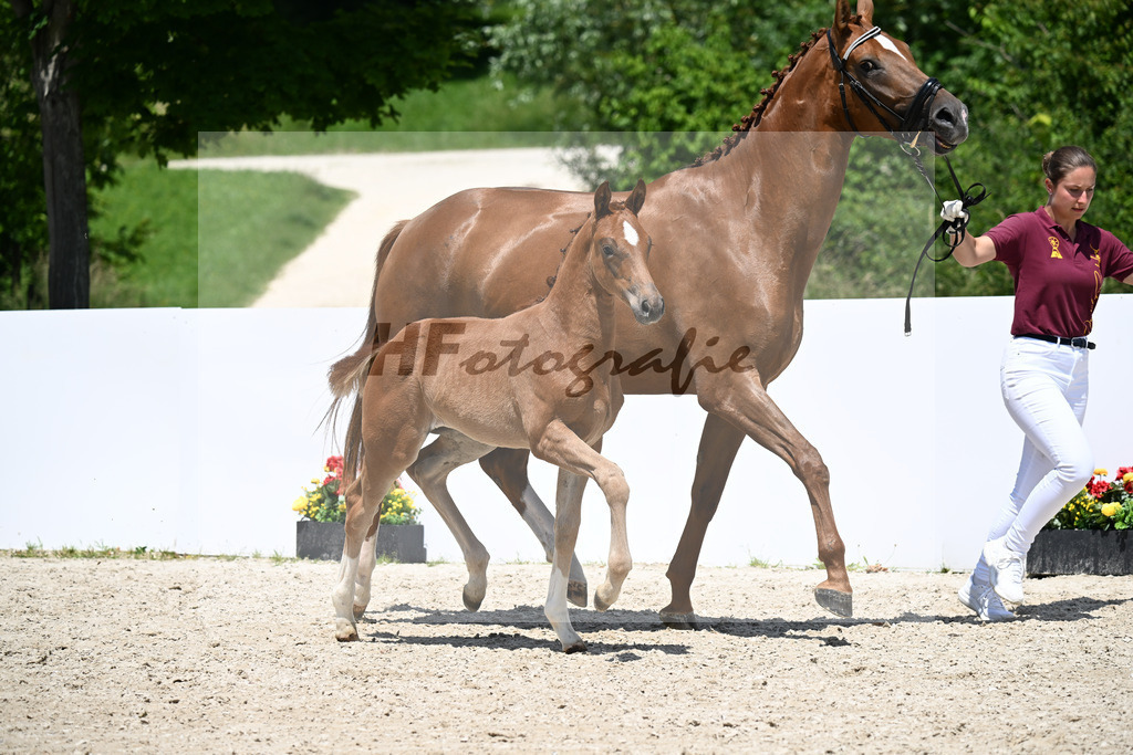 Elastic x Va Bene_SF_Maurer_13251039 | hf-fotografie - Realizzato con Pictrs.com