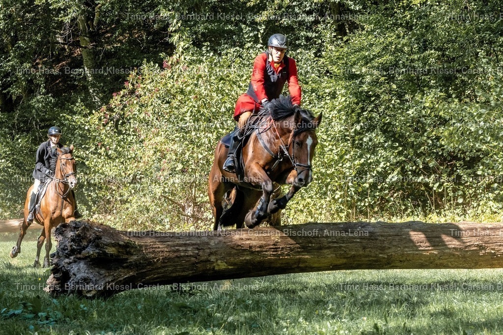 A1B09715 | foto-team-bernhard - Realisiert mit Pictrs.com