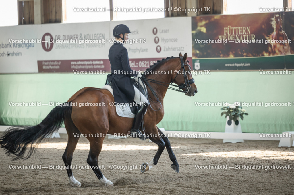 _D5A9760 | Emotionale Pferde- & People-Fotografie rund um Heidelberg, Leimen & Umgebung. Natürliche Fotos von Pferd, Mensch & Familie. Jetzt Termin sichern!