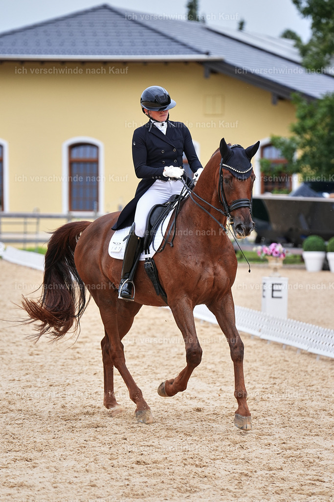 11-141-Dressur S___-Marixx-1849 | working equitationturnier fotograf videograf stoibphotography marixx film working equitation deutschland reitsport turnierfotografie eventfotografie equestrian events