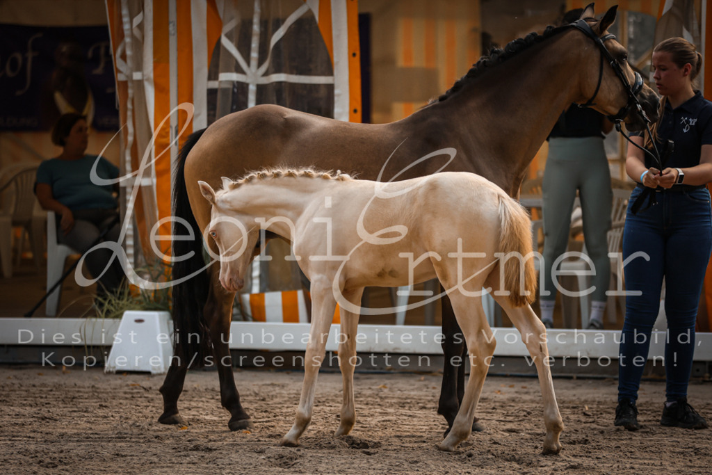 10.DoRP00038 | Leoni Ertmer Photography - Realisiert mit Pictrs.com
