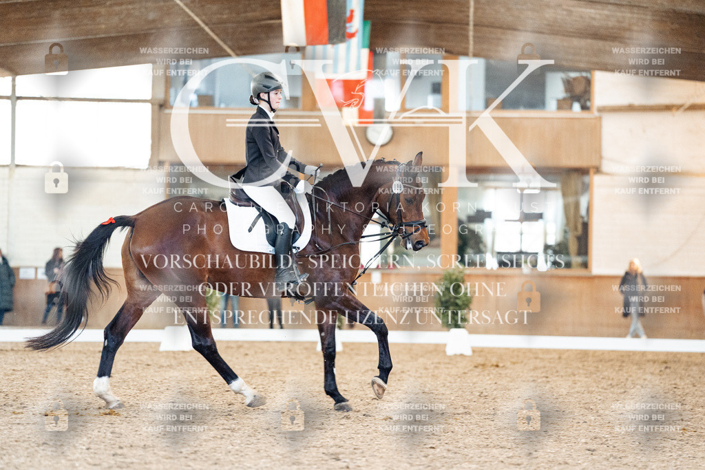 CK908083 | Turnierfotografie Pferdefotografie Trier Rheinland-Pfalz Pferdesport Reitsport Tierfotografie Sportfotografie Pferdevideo Pferdevideografie Equestrianvideography equestrianphotography  - Realized with Pictrs.com
