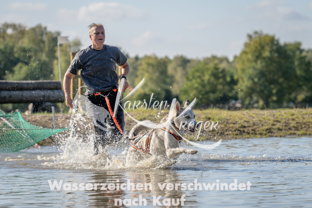 1351_ZZ91486 | kk-dogfotos
