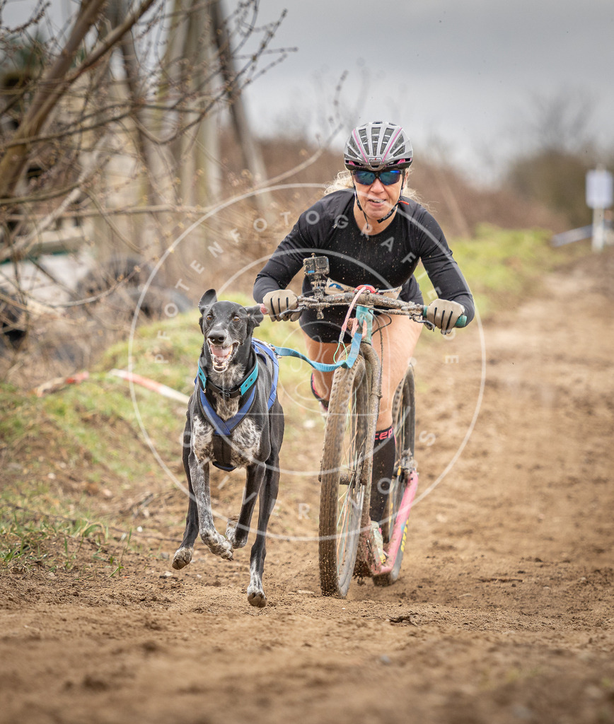 DV3A1717 | Hundefotografie, Tierfotograf, Pfotenfotografie, Fotoshooting Hund, Hunde Portrait, Hundesport, Hundeportraits, Heideshooting, Hunde, Sportfotograf, Hundefotograf, Turnierhundsport, THS,  - Realisiert mit Pictrs.com