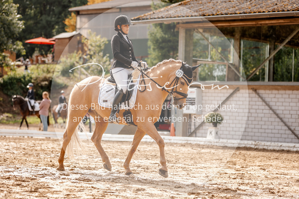 3I6A7323 | Stimmungsvolle Portraits und Reitsportfotografie im Ruhrgebiet und im Münsterland.

Pferdefotografie, Hundefotografie, Tierfotografie, Reportagen, Portraits von Tier und Mensch, Turnierfotografie in Bochum, Recklinghausen, Marl, Haltern am See, Dülmen.. - Realisiert mit Pictrs.com