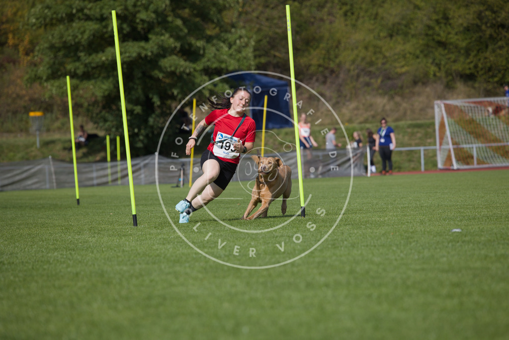 0L8A3433 | Hundefotografie, Tierfotograf, Pfotenfotografie, Fotoshooting Hund, Hunde Portrait, Hundesport, Hundeportraits, Heideshooting, Hunde, Sportfotograf, Hundefotograf, Turnierhundsport, THS,  - Realisiert mit Pictrs.com