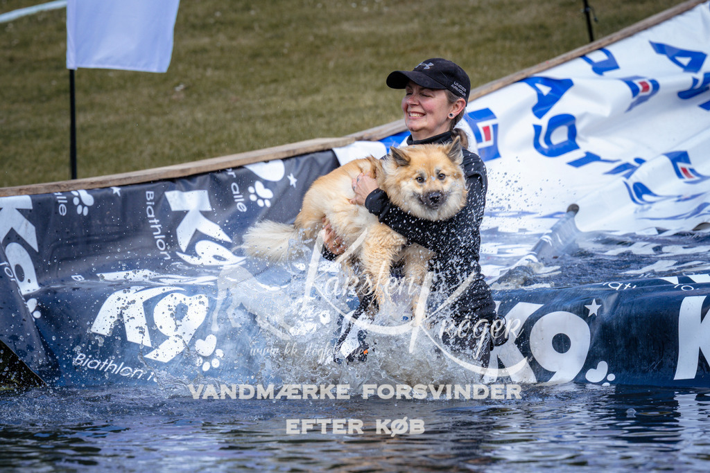 _ZZ929370935 | kk-dogfotos