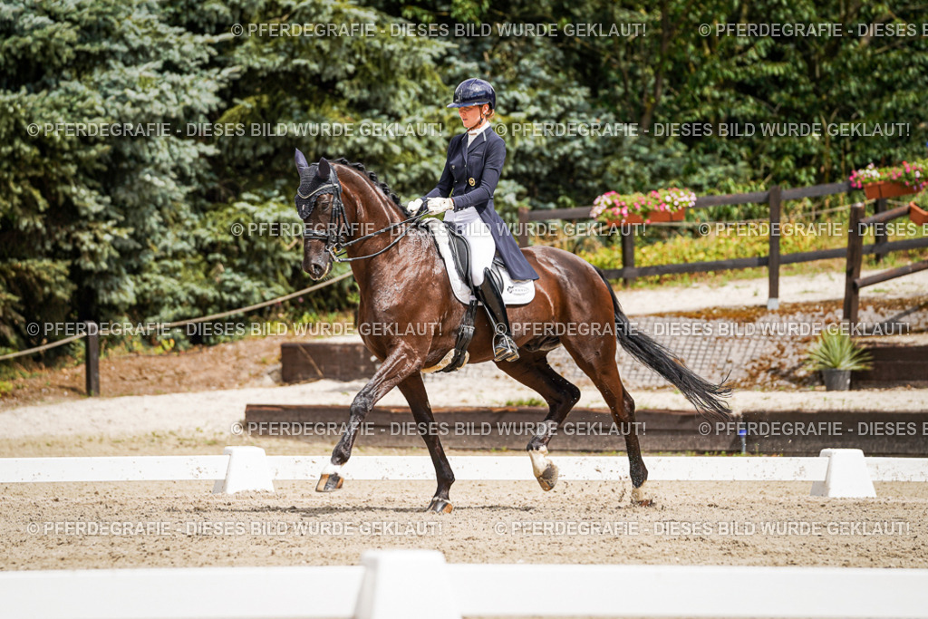 DSC06013 | Pferdegrafie