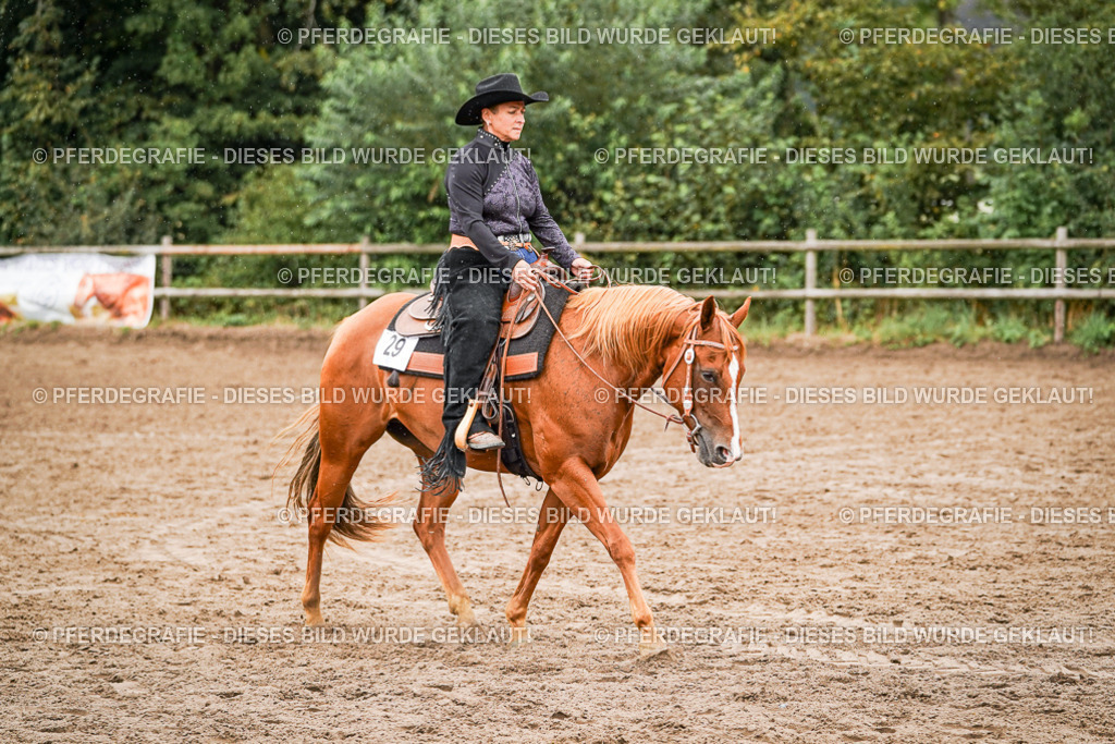 DSC05137 | Pferdegrafie