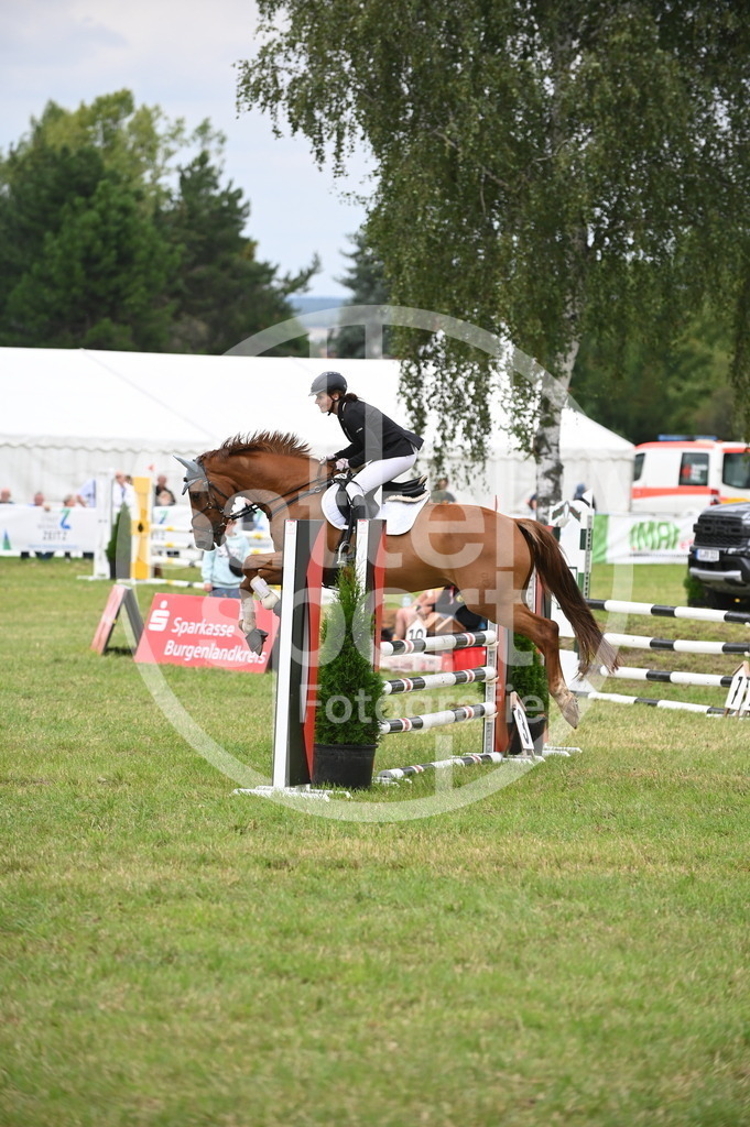 DSC_1547 | sattelsport - Realisiert mit Pictrs.com