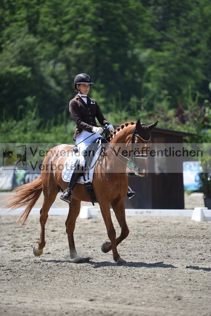 DSC_1395 | equestrian-live-com