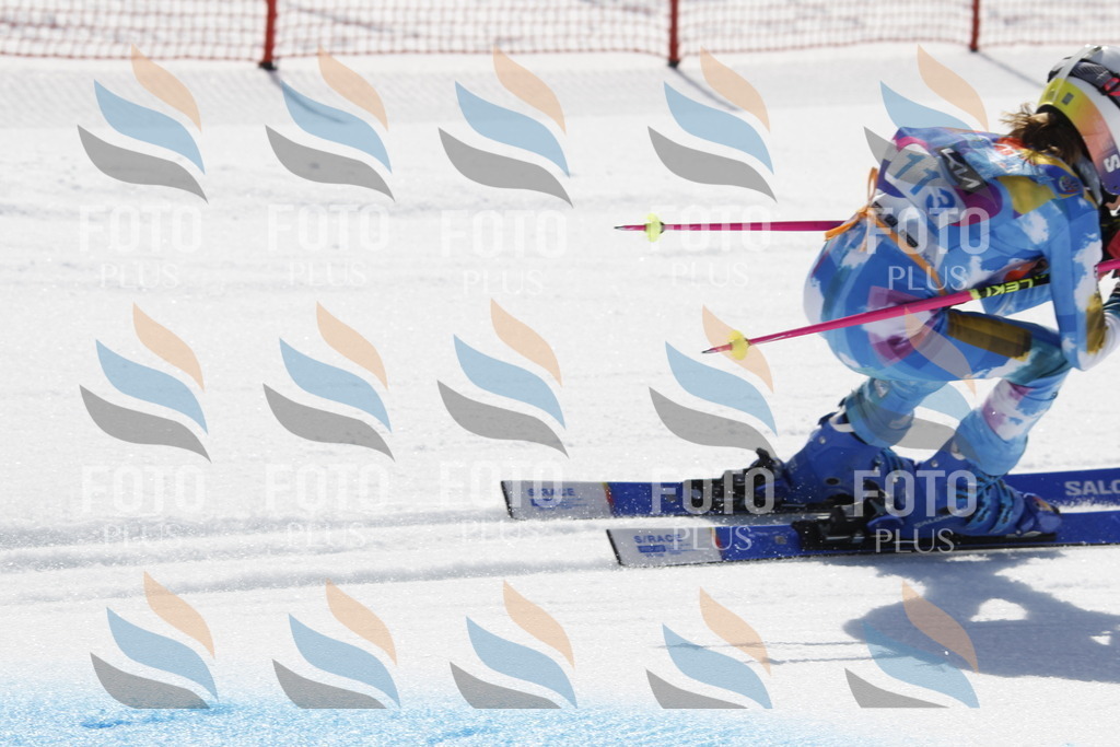 _U3G0573 | holidayphoto