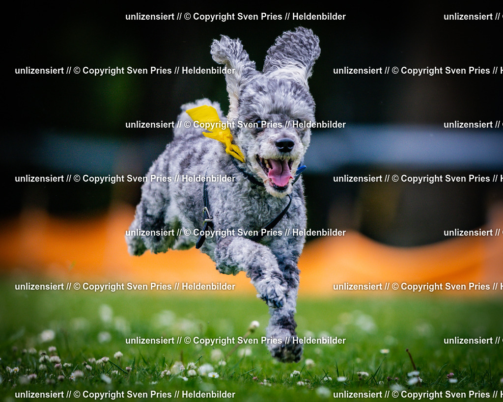 Sven Pries | 2025-05-29 - Pudelrennen KA-Durlach - Realisiert mit Pictrs.com