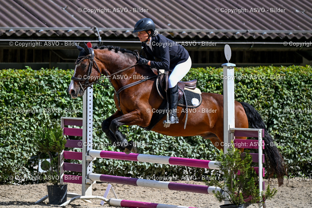 ASVÖ_ Reiten Bezirksmeisterschaft_ 24.08.2025-122 | 24.08.2025, AUT, ASVÖ, Reiten Bezirksmeisterschaft 2025Dressur und Springreiten©fodo.media / Harald Dostal - Realisiert mit Pictrs.com