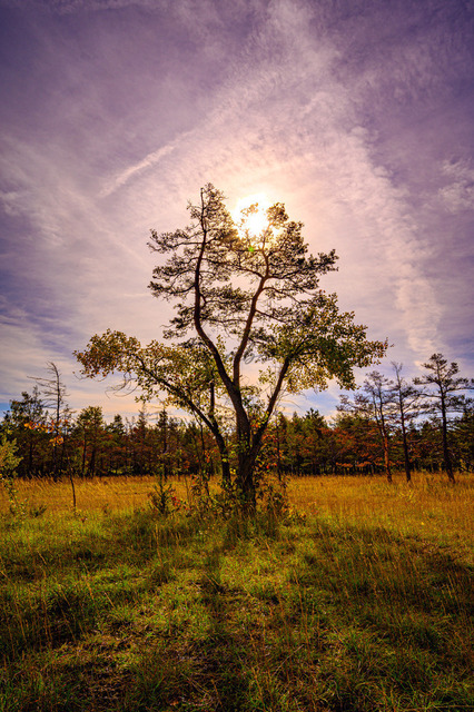 Sonnenuntergang auf einer Wiese | Professionelle Natur- & Landschaftsfotos als Poster, auf Leinwand & viele mehr. Wähle aus einer Vielzahl an Formaten & Materialien Dein perfektes Bild. - Realisiert mit Pictrs.com