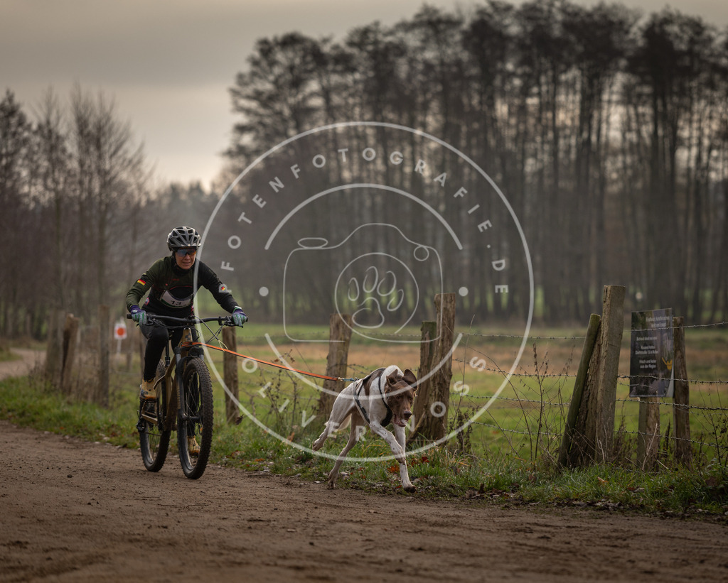 Pfotenfotografie_DV3A1807 | Hundefotografie, Tierfotograf, Pfotenfotografie, Fotoshooting Hund, Hunde Portrait, Hundesport, Hundeportraits, Heideshooting, Hunde, Sportfotograf, Hundefotograf, Turnierhundsport, THS,  - Realisiert mit Pictrs.com