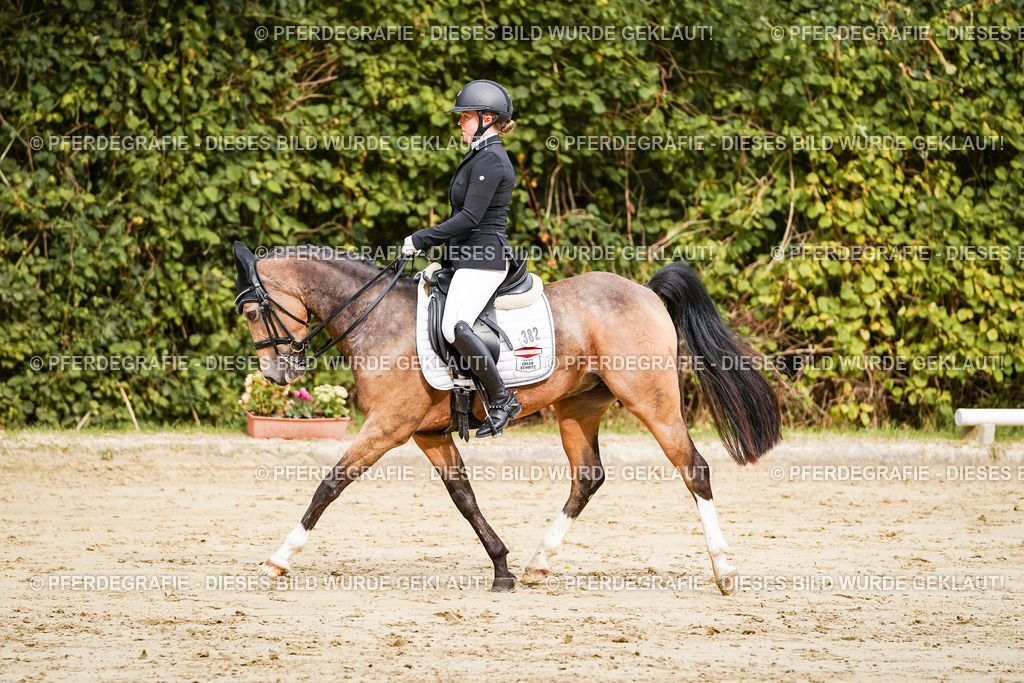 DSC02577 | Pferdegrafie