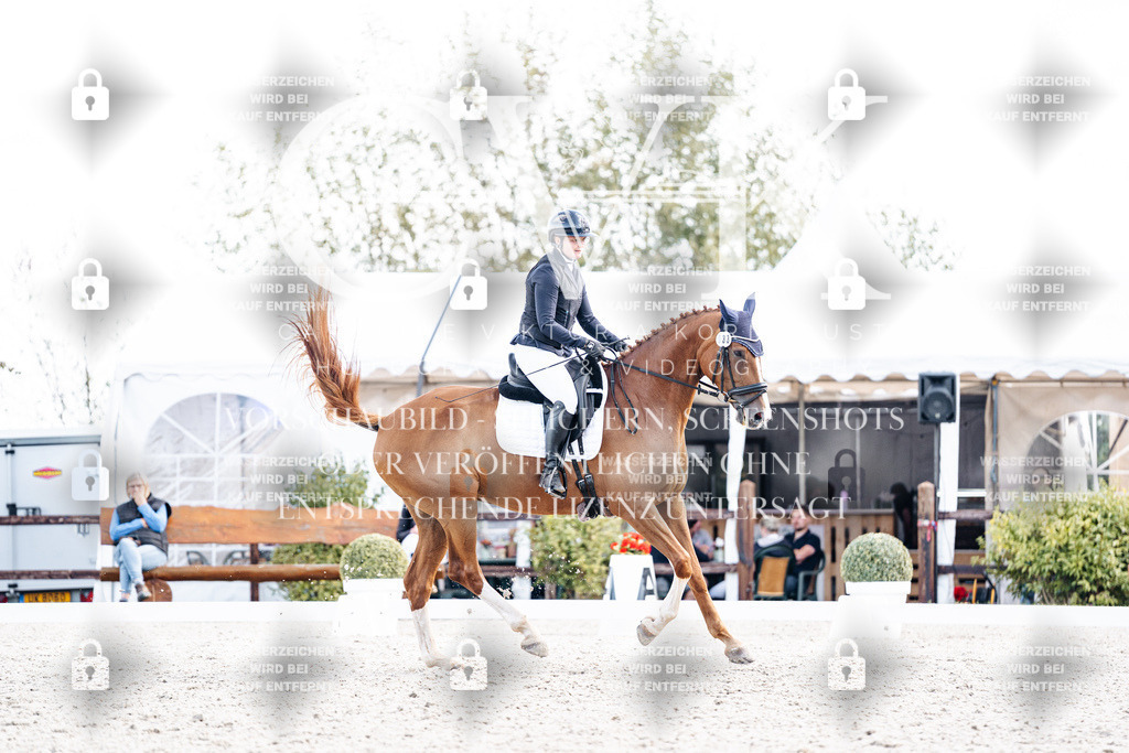 CK902474 | Turnierfotografie Pferdefotografie Trier Rheinland-Pfalz Pferdesport Reitsport Tierfotografie Sportfotografie Pferdevideo Pferdevideografie Equestrianvideography equestrianphotography  - Realisiert mit Pictrs.com
