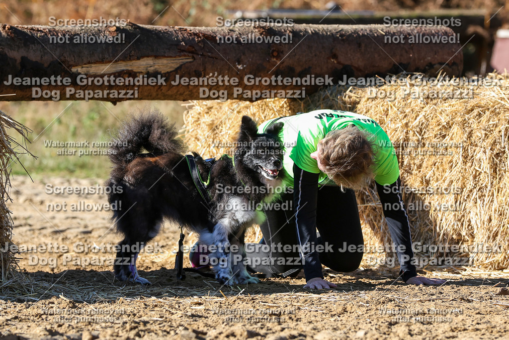 Dog Paparazzi - Strongdog 10-25-2642 | Dog Paparazzi Jeanette Grottendiek Fotografie & Videografie - Realisiert mit Pictrs.com