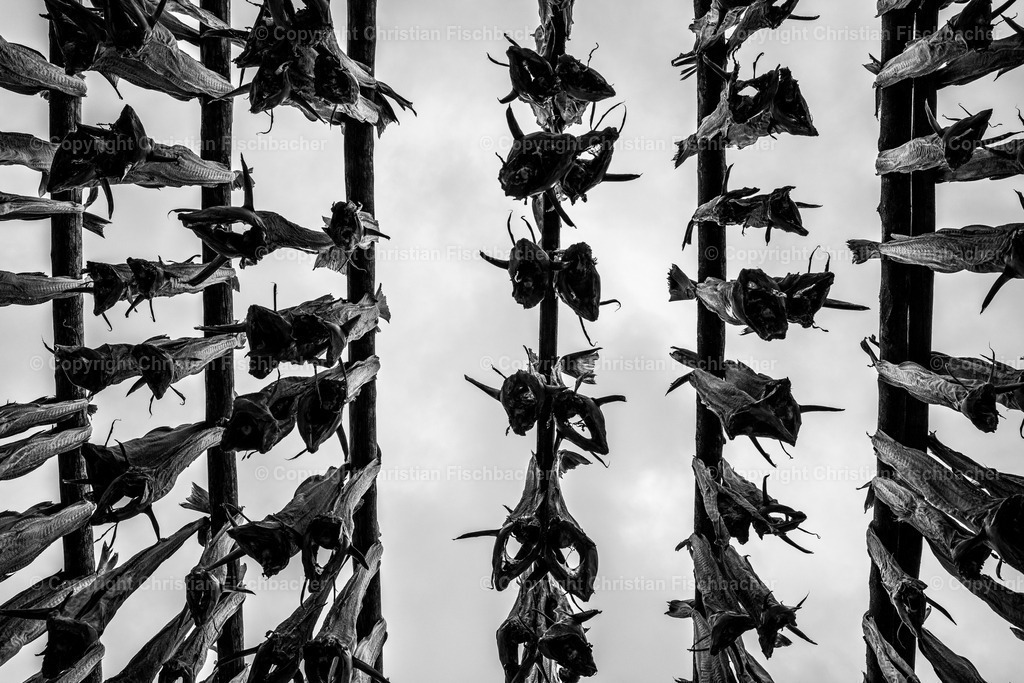 Fotos_Copyright_Chri_Fischbacher_Druck-308 | Bildershop Chri Fischbacher - Realisiert mit Pictrs.com