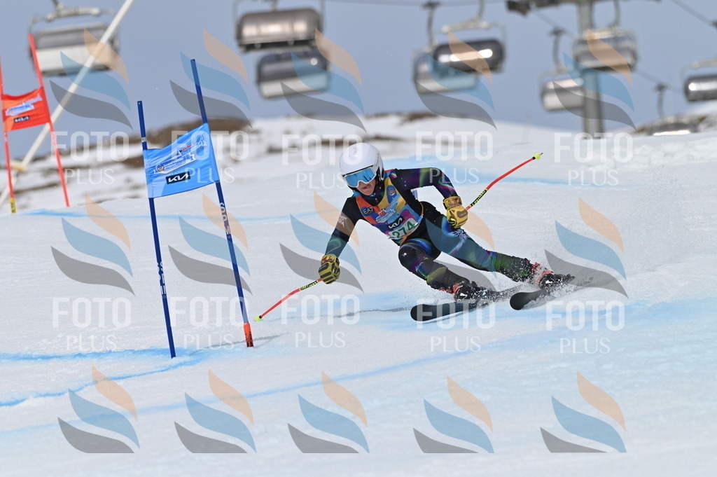 BGV_5429 | holidayphoto