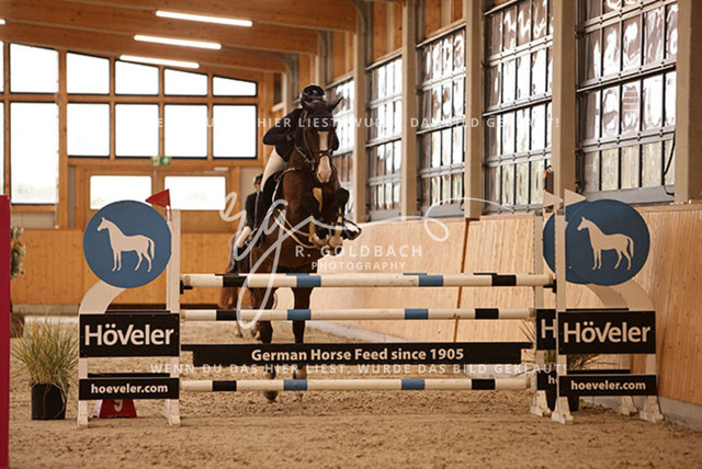 1J2A6805Franziska Klöpper_ Cetellus_ Kn110_ Glantz_ Hohen Wieschendorf | Foto- und Videografie für alles rund ums Pferd. Hochwertige Bilder und Videos vom Spring- und Dressurreiten, Voltigieren & mehr. Jetzt aktuelle Veranstaltungen und Preise im Shop ansehen. - Realisiert mit Pictrs.com