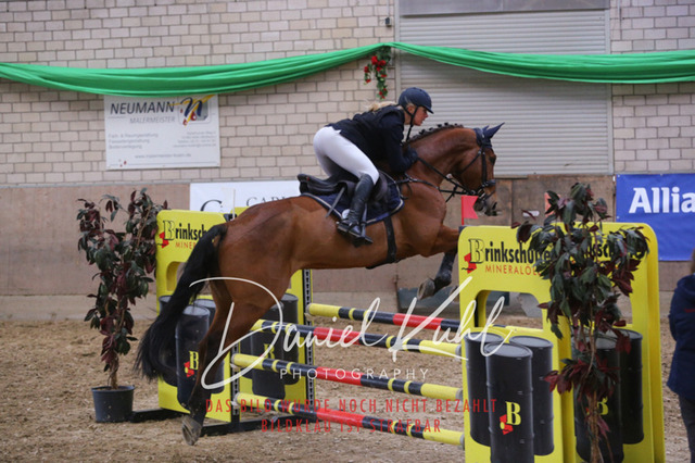 IMG_0731 | Turnierfotos kaufen im Webshop von Daniel Kuhl Photography – entdecke professionelle Reitsportfotos aus Turnieren & Events. Hochwertige Turnierbilder online bestellen & sichern. Jetzt Fotos von Reitsportturnieren kaufen!