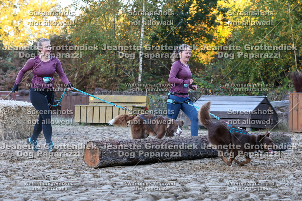 Dog Paparazzi - Strongdog 10-25-235 | Dog Paparazzi Jeanette Grottendiek Fotografie & Videografie - Realisiert mit Pictrs.com