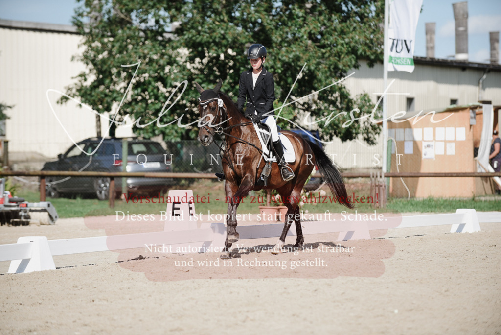 DSC_0097 | Pferde- und Turnierfotografie in Westsachsen. Pferdeportraits, Auftragszeichnungen und intuitive Kunst.