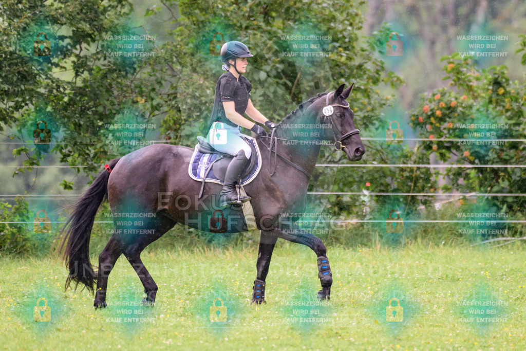 18072026-Schwaiganger-Prfg08-0071 | Fokus Hufschlag Fotografie - Realisiert mit Pictrs.com