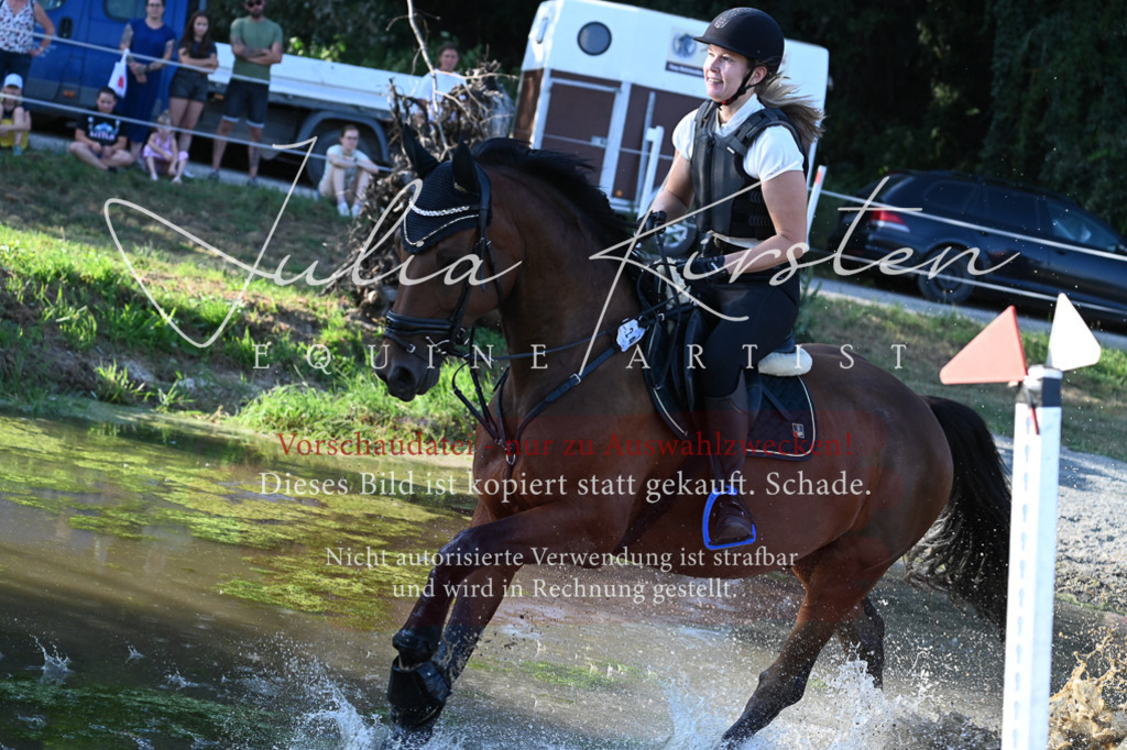 DSC_9018 | Pferde- und Turnierfotografie in Westsachsen. Pferdeportraits, Auftragszeichnungen und intuitive Kunst.