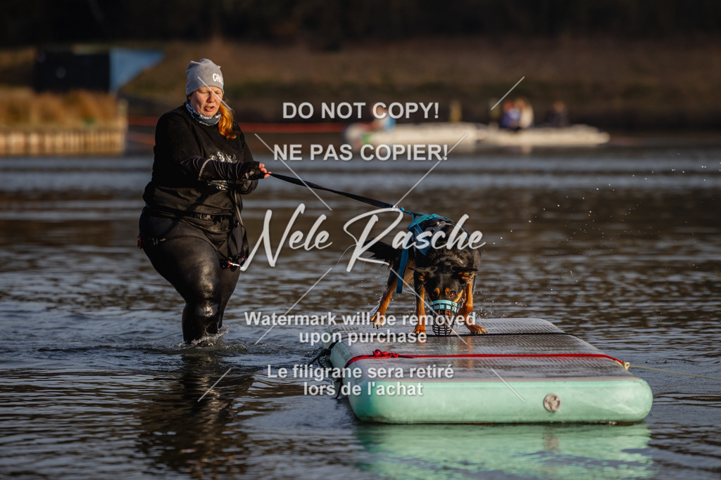 nelerasche_Hulsbeek_Sa1700-1730_160 | nelerasche