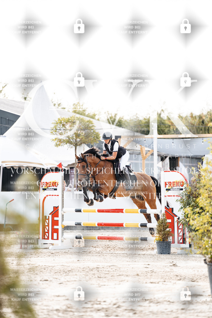 CK906830 | Turnierfotografie Pferdefotografie Trier Rheinland-Pfalz Pferdesport Reitsport Tierfotografie Sportfotografie Pferdevideo Pferdevideografie Equestrianvideography equestrianphotography  - Realisiert mit Pictrs.com