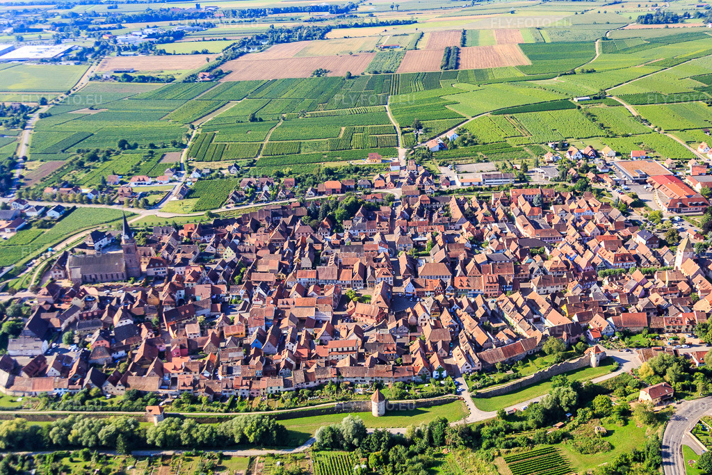 Vue aérienne: Vue de la ville depuis le nord à Bergheim dans le département Haut-Rhin, France – .Photo: IMG_093328.jpg prise le 16/08/2016 par Werner Riehm/FLY-FOTO.eu – Résolution de l'original: 4771 x 3181 px