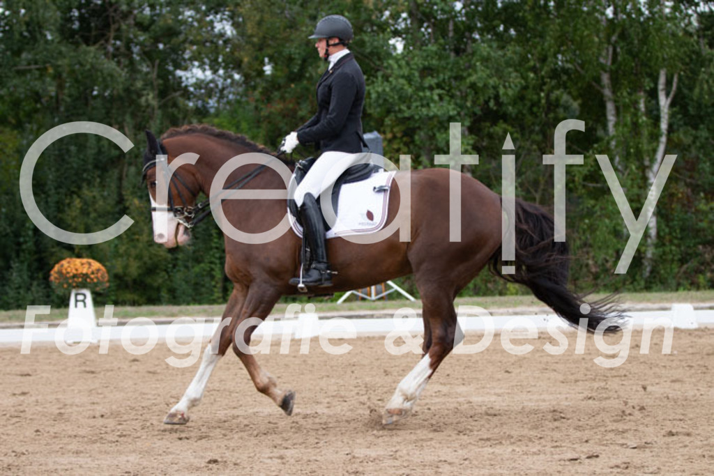 IMG_7002 | Creatify Fotografie