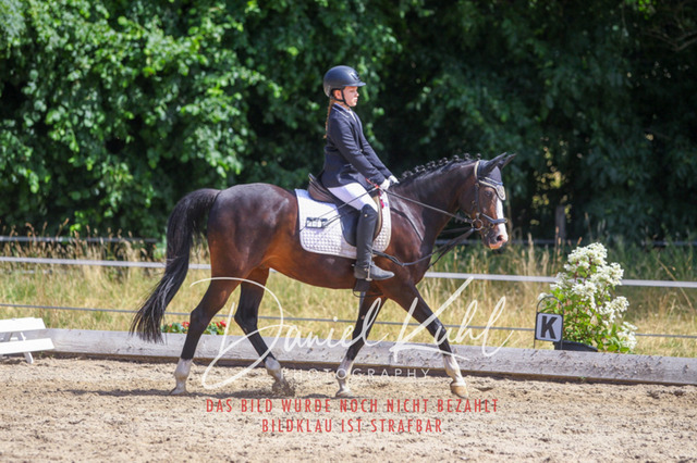 DKP46123 | Turniersportfotografie; Pferdefotografie; Dressurfotografie