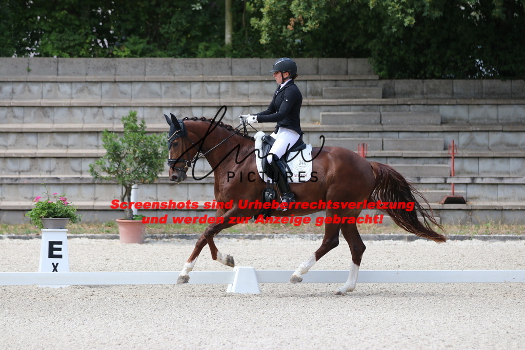 IMG_4367 | lmwpictures - Realisiert mit Pictrs.com