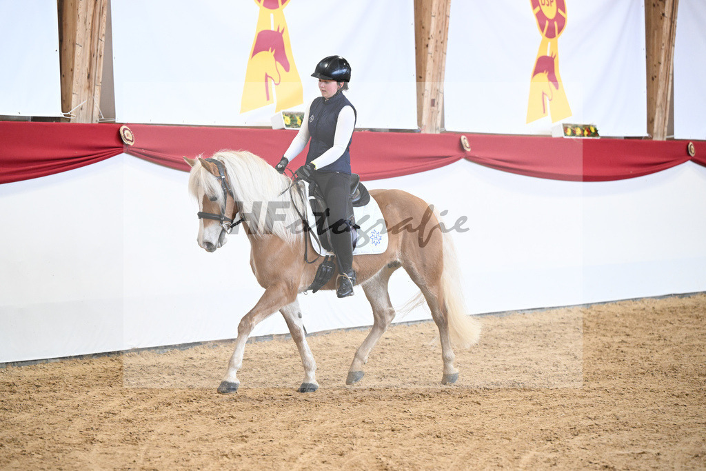 Schauprogramm Haflinger Quadrille_2251511 | hf-fotografie - Realisiert mit Pictrs.com