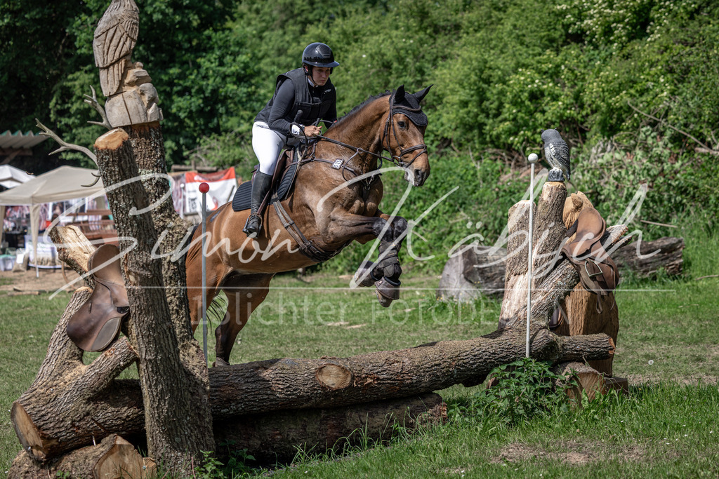 20260523-_3LI9076 | Tierfotografie Pferde, Hunde, Katzen, Haustiere.
Turnierfotografie Reitturniere, Reiten, Springreiten, Dressur in Hanau, dem Main-Kinzig-Kreis und dem Rhein-Main- Gebiet um Frankfurt